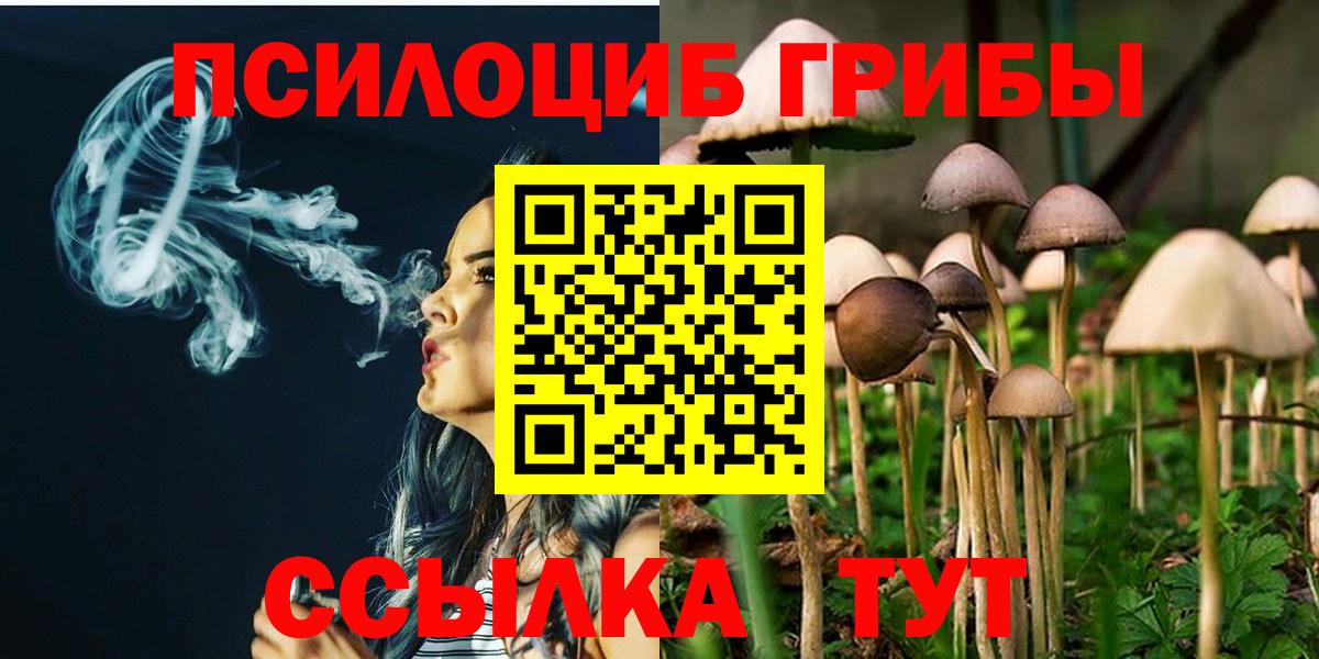 Галлюциногенные грибы Magic Shrooms  Вход с VPN  Галлюциногенные грибы Magic Shrooms  Сертолово 
